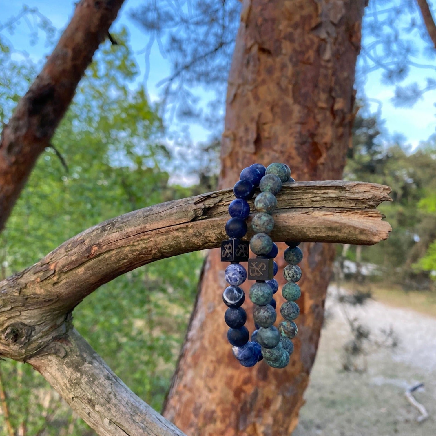 Een Seafloor Set (8mm) armband op een tak van een boom versierd met kralen van Stoney Bracelets.